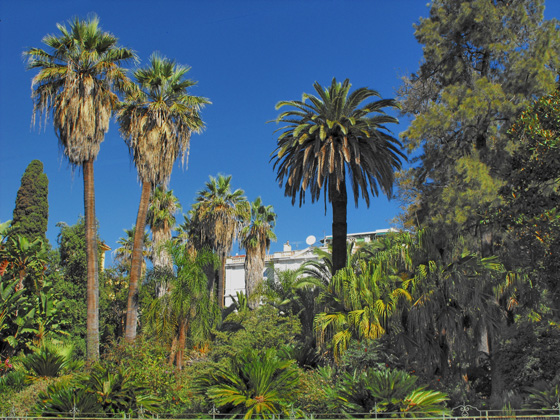 jardin public san remo