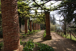 villa cimbrone