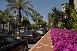 Bordighera