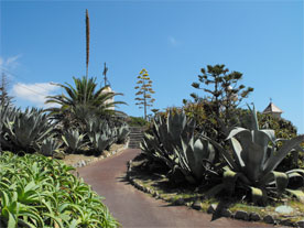 Bordighera la mer