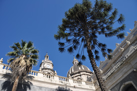 dome de catane