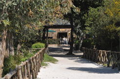 camping solfatara