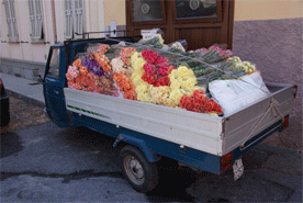 Riva Ligure Fête Dieu