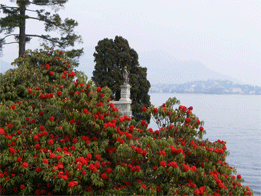 Lac Majeur Isola Bella