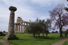 Paestum