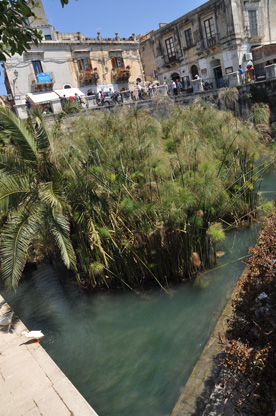 fontaine d'arethuse syracuse