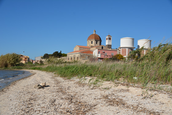 cabras sardaigne
