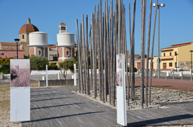 cabras sardaigne
