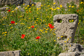 tharros sardaigne