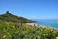 plage de tharros sardaigne