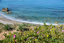 plage de tharros sardaigne