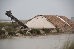 trapani