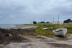trapani