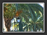 Vintimille jardin public 1