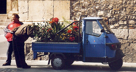 ape fleuriste