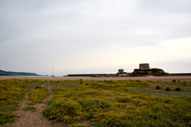 bosa marina