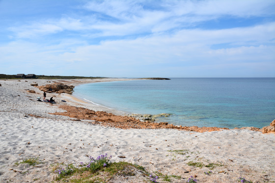 is arrunta sardaigne