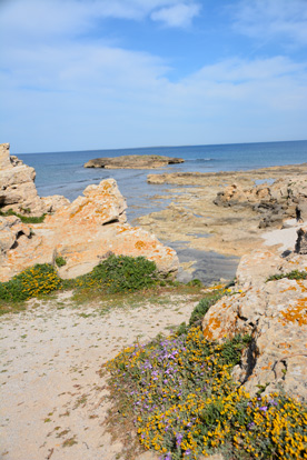 is arrunta sardaigne