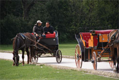 caserta la reggia le parc