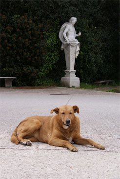 caserta la reggia le parc