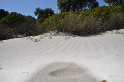 costal del sud sardaigne