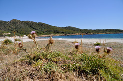costa del sud sardaigne