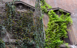 rome trastervere