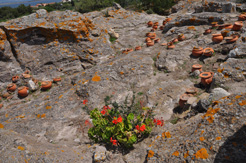 tophet de Sant_antioco