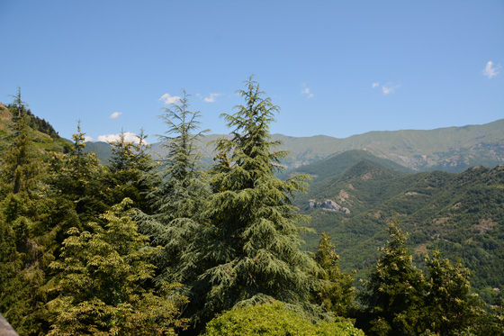 triora