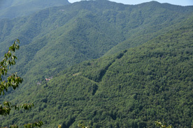 triora