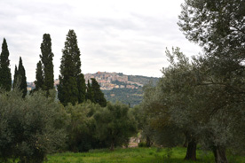 villa d'hadrien tivoli